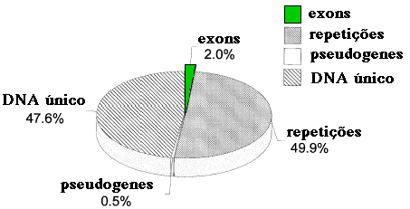 Propor��es do 21